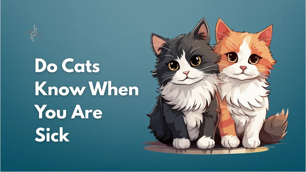 how cats feel when you are sick