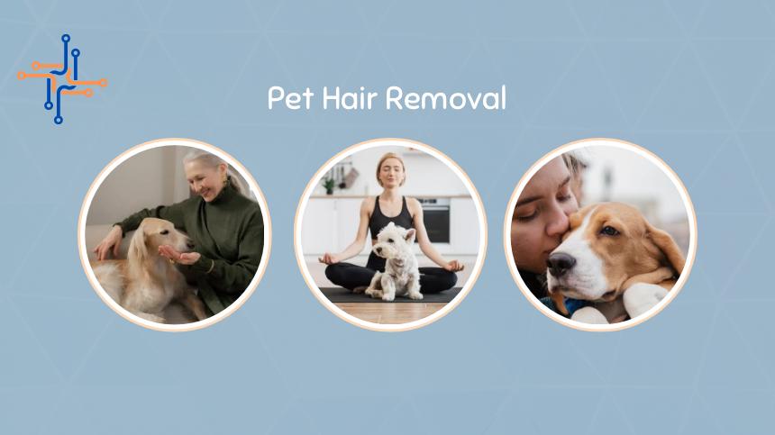 Pet hair removal from car