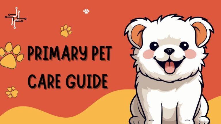 A guideline to primary pet care